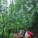 지리산인월송 | 지리산 둘레길 1구간 걷기