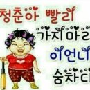대진경로당 | 빼박 삼십대가 돼버린 일상