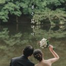 이동슈퍼 - 춘천시 효평길 76 | [부산웨딩준비]-슈퍼헬퍼 예약후기(프리미엄 이동버스 패키지)