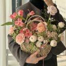 파니에플레르