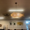 오로지생태한마리 이미지