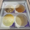 배스킨라빈스 | 양재 워크샵 바이 배스킨라빈스 방문 솔직 후기