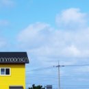 초록나무펜션 이미지