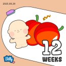 서현로180번길 이미지