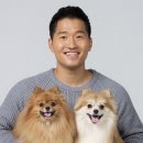 다녀올개 이미지