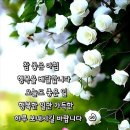 은빛나래님 방글방글 이미지