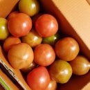 후계자농장 이미지