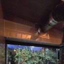 오소록헌디 이미지