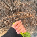 네일어텐션 | [파주 네일] 네일어텐션 n회차 방문 후기｜유지력·디자인 만족도 솔직리뷰 | 내돈내산