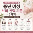 와코루비너스 | (내돈내산) 와코루 브라 WBRC262 후기(40대~50대 중년 여성 브라 선택 기준)