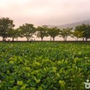 양서문화체육공원 이미지