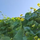 선사농원 이미지