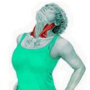 다온에스테틱 이미지