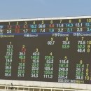 역적로1R-2 | 서울 근교 이색데이트 추천 과천 렛츠런파크 첫 방문 도파민 제대로 느끼고 온 후기