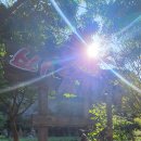 바람정원 이미지