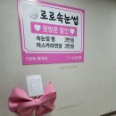 로로 속눈썹