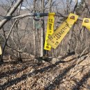 덕솔이네 이미지