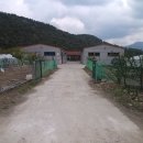 삼겹파티 이미지