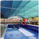 늘빛강가 이미지