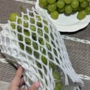 병권농장 이미지