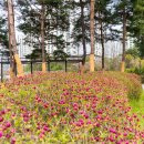 갈매중앙공원 이미지