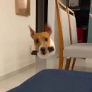 으뜸 공중화장실 | 상하이 반드시 또간다