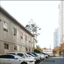 엔시아헤어살롱 | 양덕 미용실 엔시아헤어살롱 얼룩없이 염색 후기