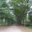 평촌 정보산업고 이미지