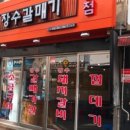 도화갈매기