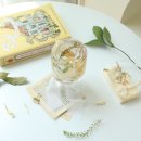 모먼트페이지 이미지