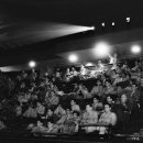 pet 10라 3194 이미지