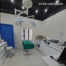 라이언펫 수원광교동물병원 이미지