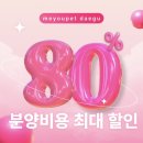 홈플러스 문경점 | 문경랙돌분양 제대로 찾는 기준, 이 글 하나로 선택 끝납니다