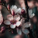 동성휀스 이미지