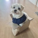 피씨카페티 | 2월을 모른 척 하고싶었어요.. (밀린 1-2월 모음.zip)