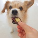 드루왕왕 이미지