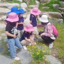 아영초등학교 이미지