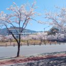 지금시작 뷰티hye