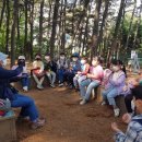 수원인터넷뉴스