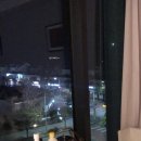 JS함덕 네이버블로그