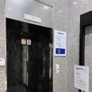 우쭈쭈플렉스 강아지 유치원 호텔 | [광주 서구] 우쭈쭈플렉스 광주 애견 유치원 호텔 추천