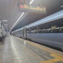 세븐일레븐 안양힐링점 | 금요일 퇴근 후 떠난 강릉 뚜벅이 여행 1