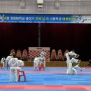 경희 태권도하는아이들 태권도장 이미지