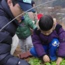 호텔그린토피아 | [그린토피아] 양평 그린토피아~ 아이들 농촌체험 학습장으로 완전 최고네요!!! 강추^^