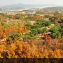 한밭수목원 이미지