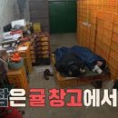 조준호농장 이미지