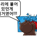 주정차단속-25 이미지