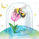 청학 승마클럽 이미지