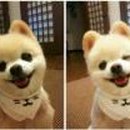 친구회