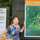 설악산 토왕성폭포 전망대가는길.25.8.30(4) 이미지